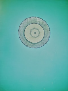 A close-up of a decorative plate installation in a modern living room.