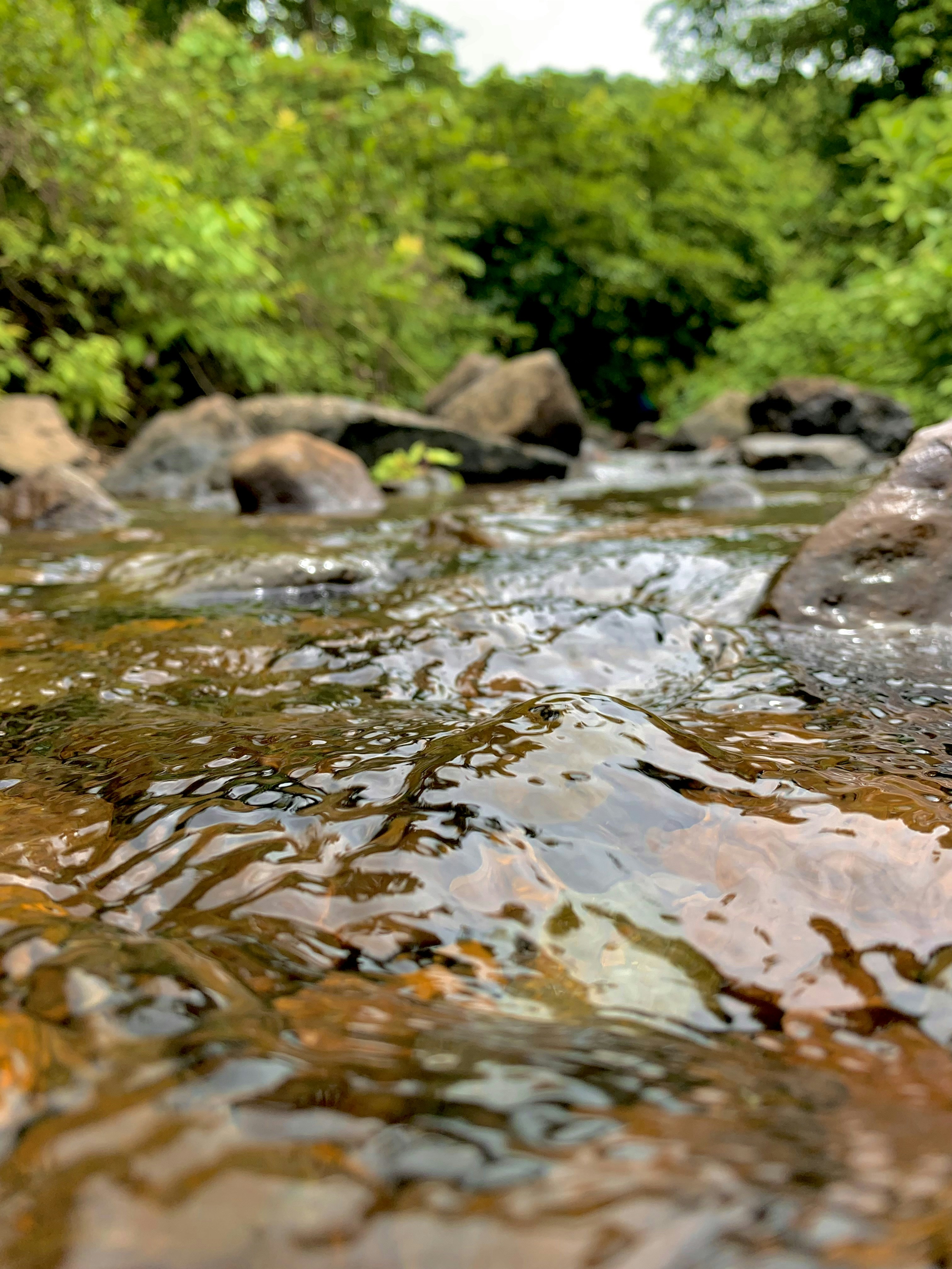 Photo by chimichanga21