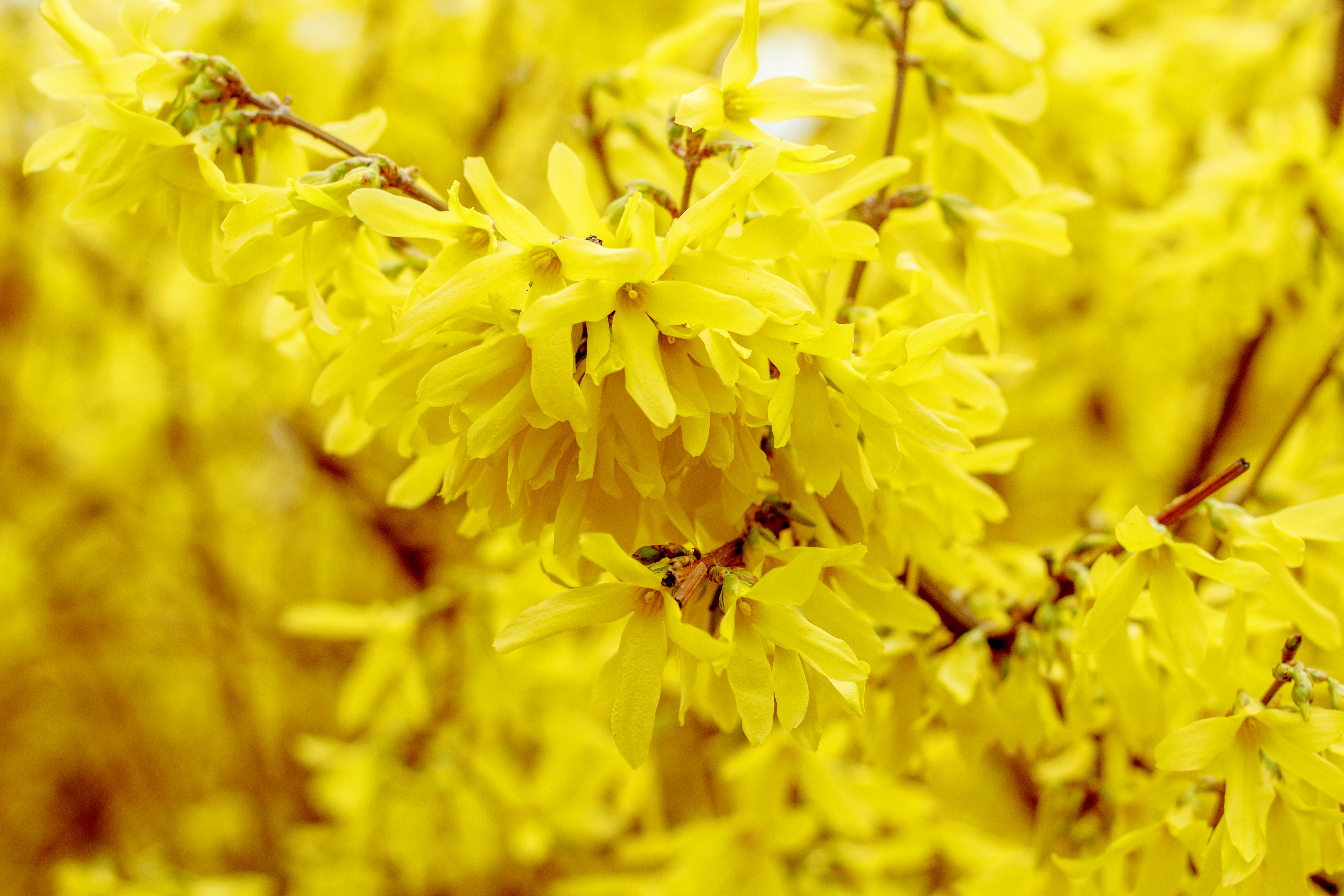 Photo by chained_dragon