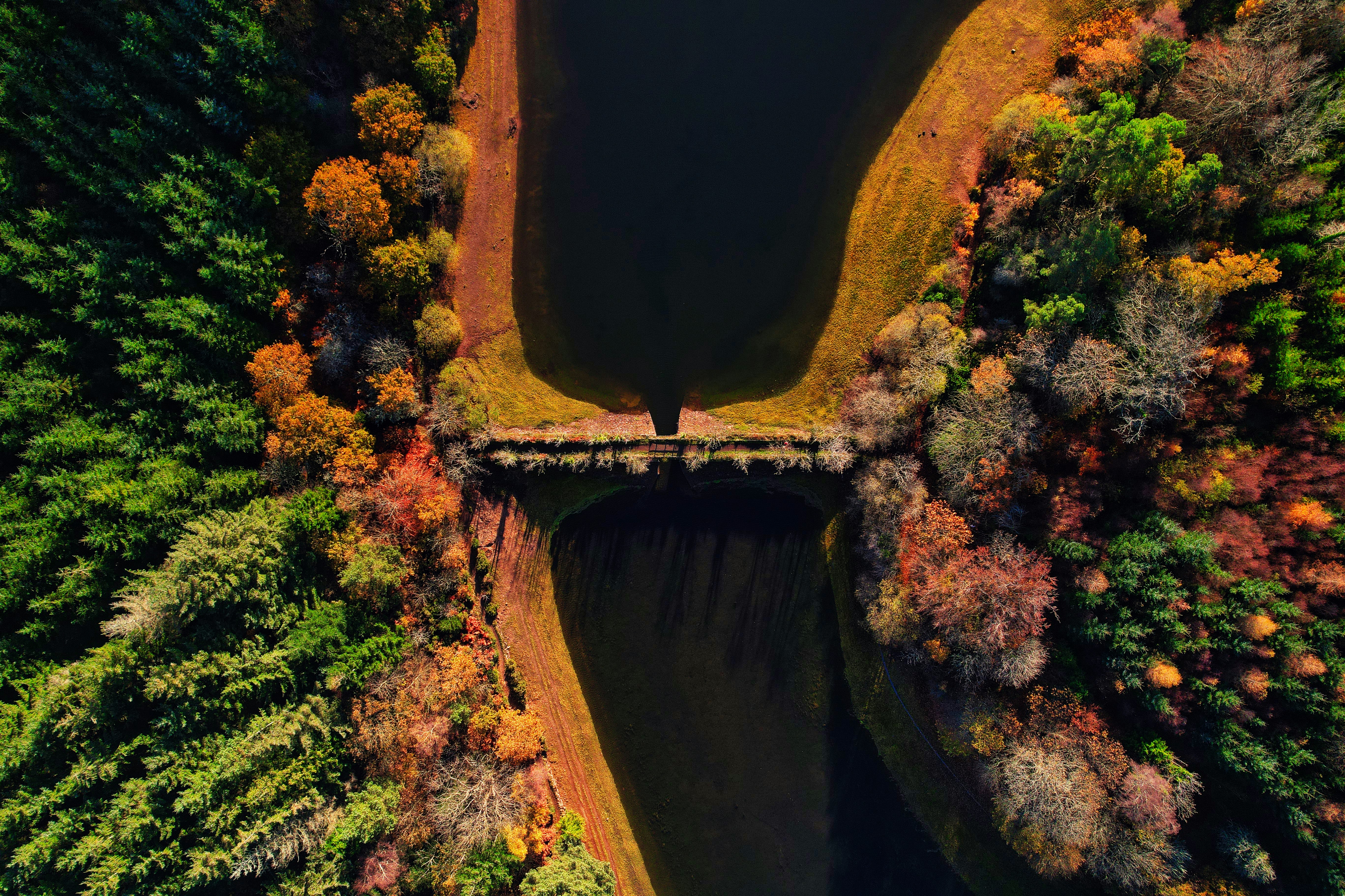 a man standing on a bridge over a river surrounded by trees 풍경 사진
