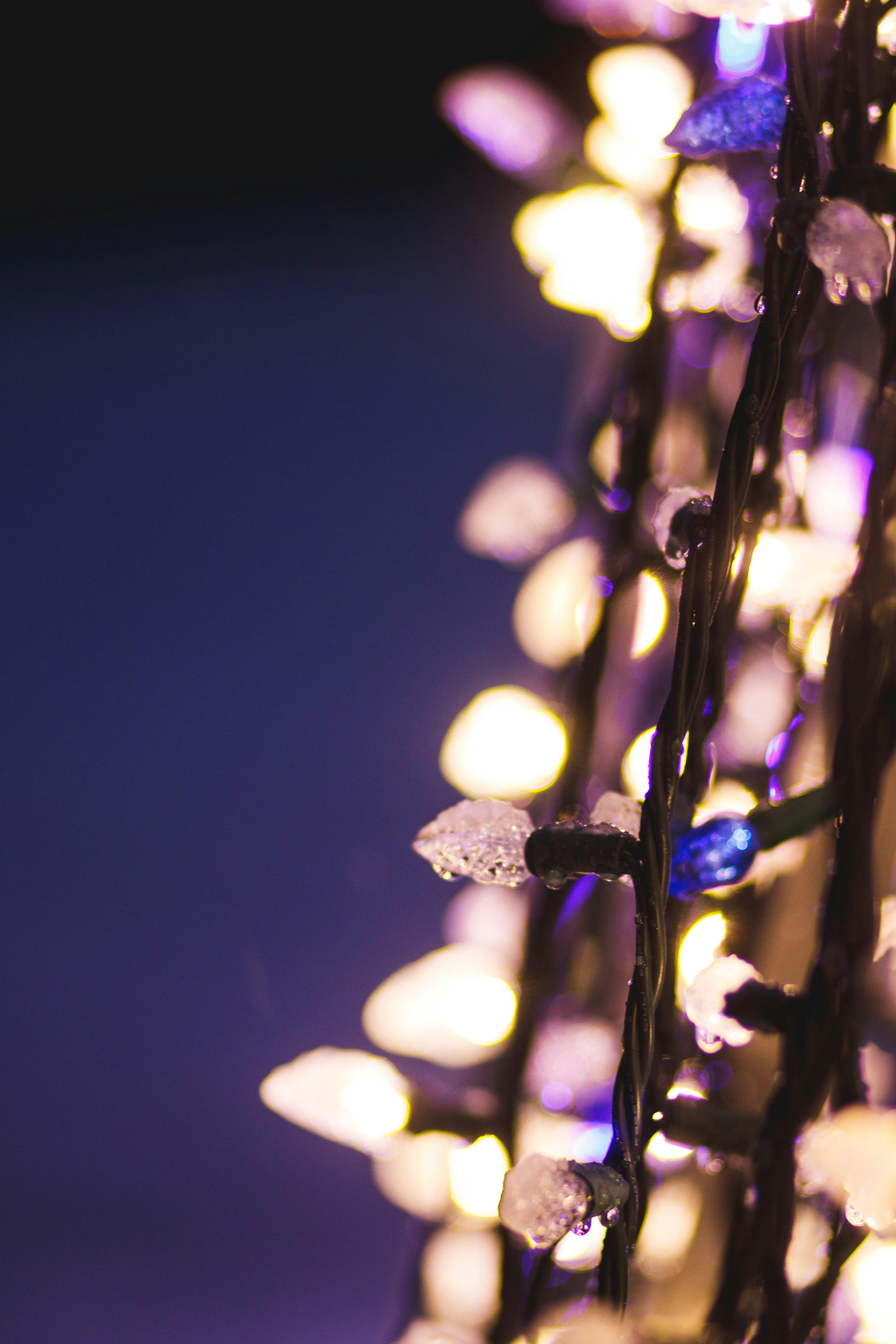 Photo by john_vowles