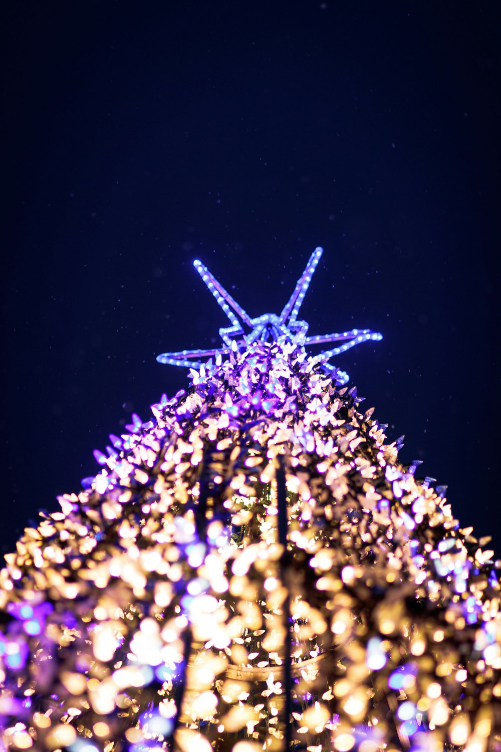 a large christmas tree with a star on top of it