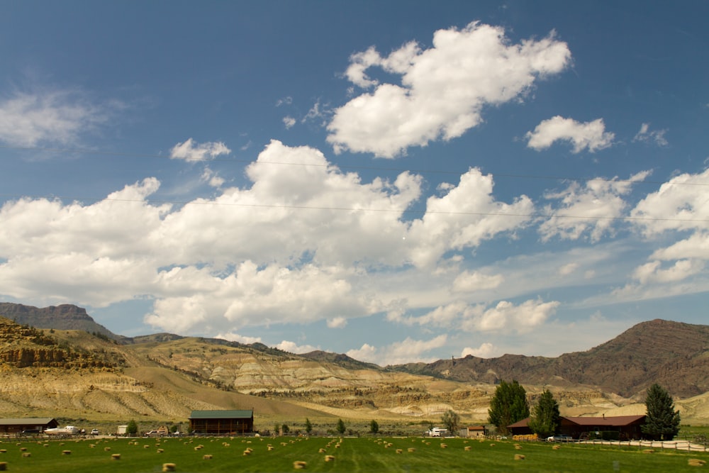 a green field with a mountain in the background