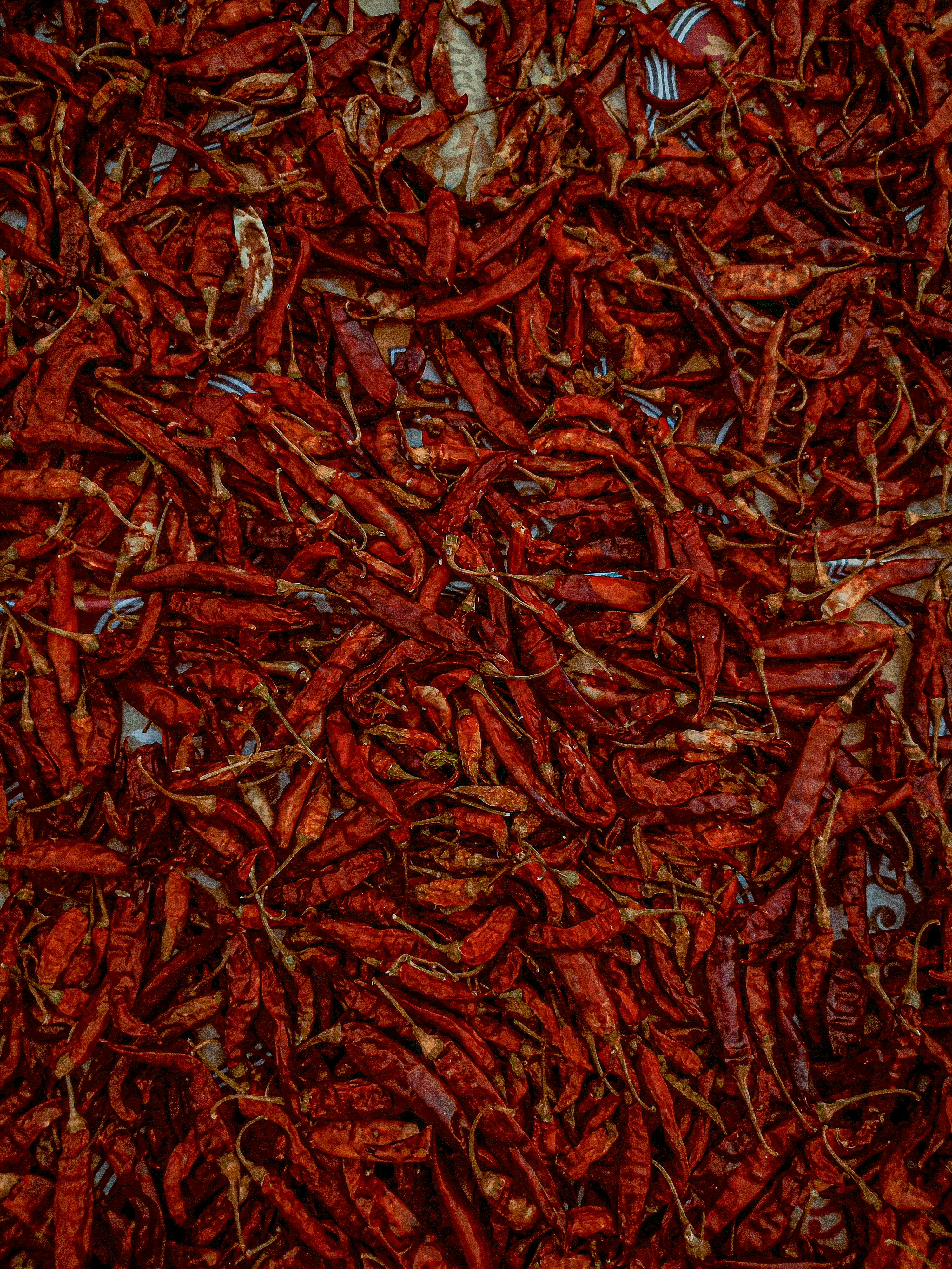 🌶️Dry Red Chili