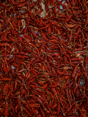 Vibrant dried red chillies spread over a rustic wooden surface with navy and gold tones.