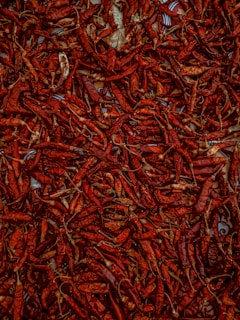 A large assortment of dried red chili peppers spread out, showing a rough texture and vibrant red hues. The chilies are layered densely, filling the entire frame, with some faint paper or surface peeking through.