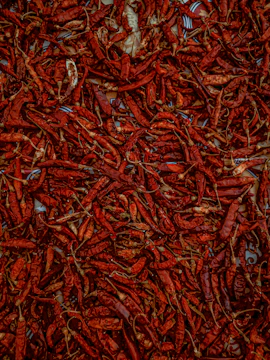 Vibrant dried red chillies spread over a rustic wooden surface with navy and gold tones.