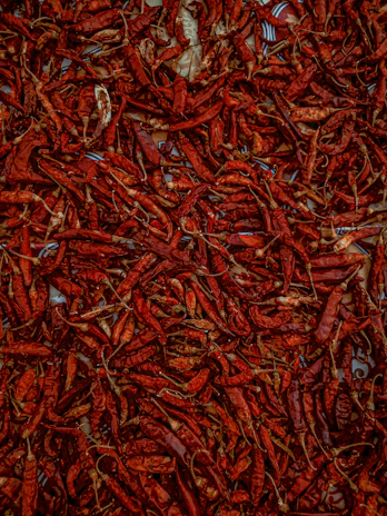 A colorful array of dried red chilies and coriander seeds spread out on a traditional cloth.