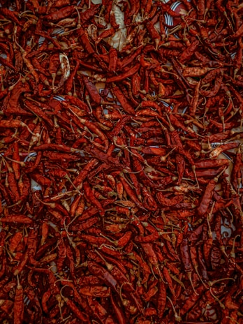 A large assortment of dried red chili peppers spread out, showing a rough texture and vibrant red hues. The chilies are layered densely, filling the entire frame, with some faint paper or surface peeking through.