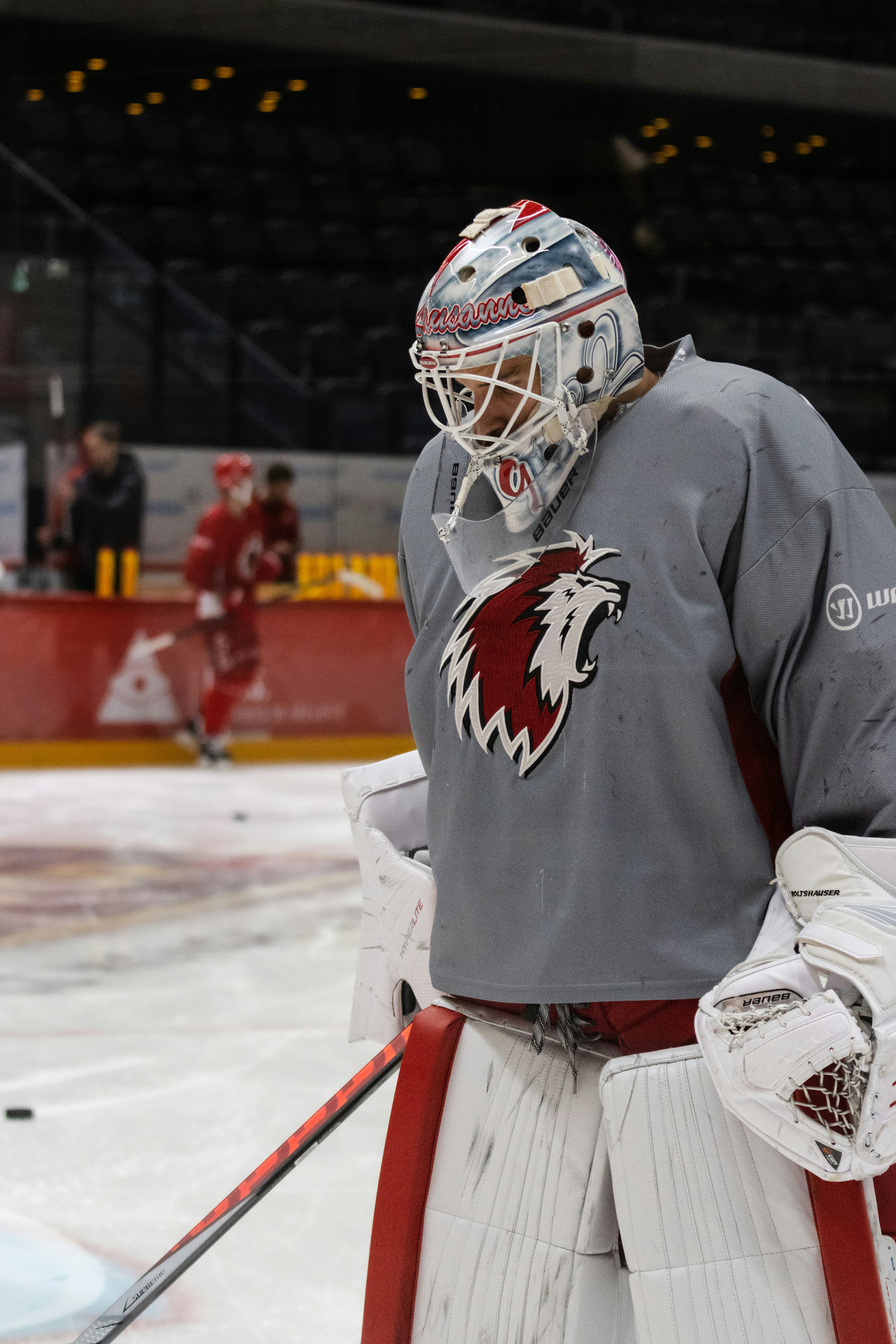 Dark blue background with black curves