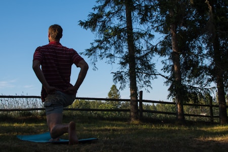 A person kneels on a grassy field, likely doing a stretch or exercise. The scene is set outdoors in a natural environment with tall pine trees casting shadows. The sky is clear with a soft blue hue. A wooden fence runs parallel to the trees, adding a rustic element to the composition.