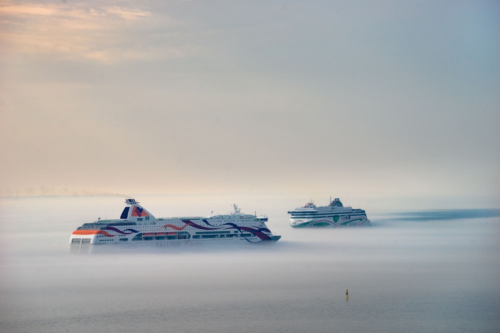 two cruise ships in the ocean on a foggy day