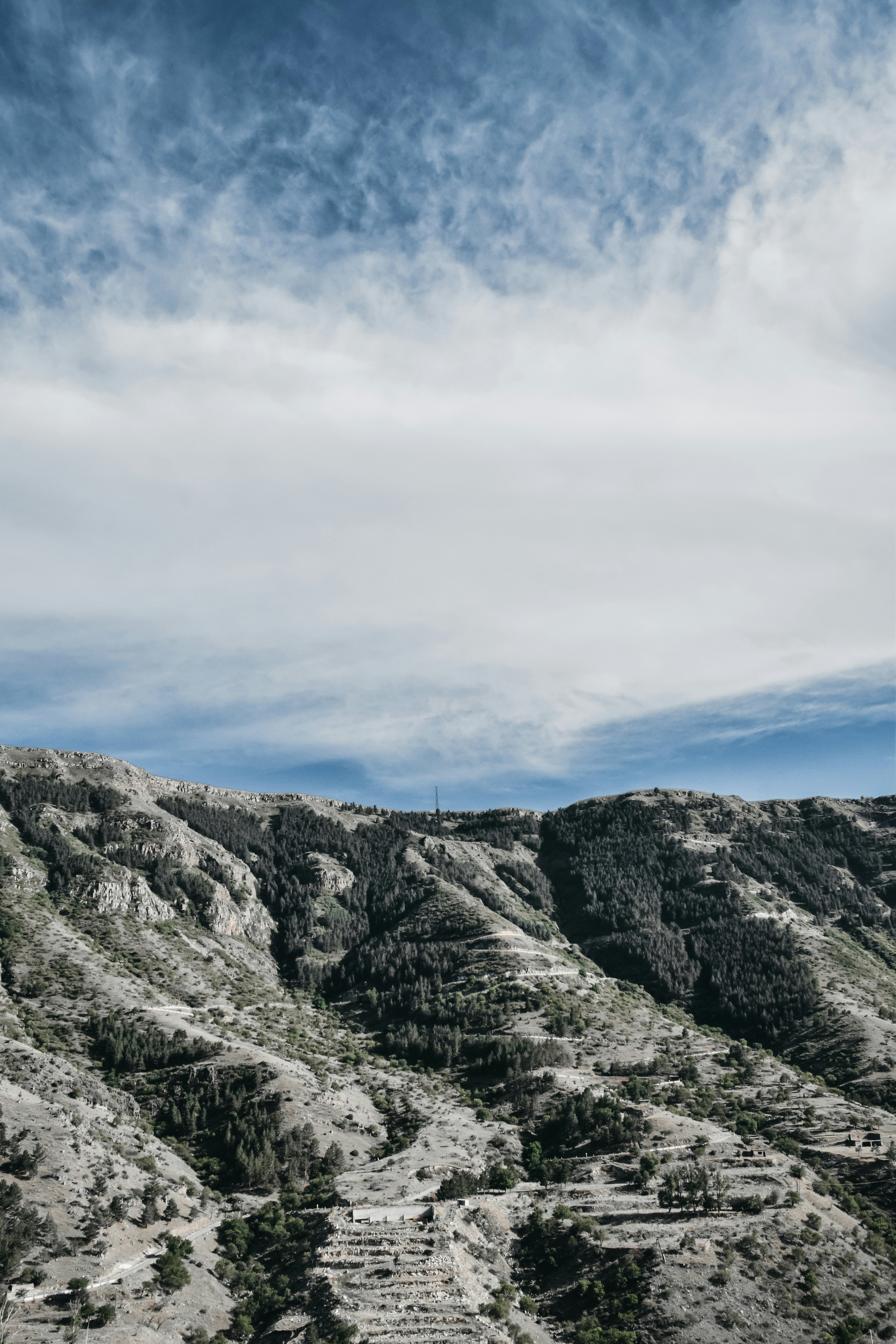 Photo by darya_tryfanava