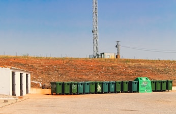 A clean, green skip bin placed outside a suburban home during a garden clean-up
