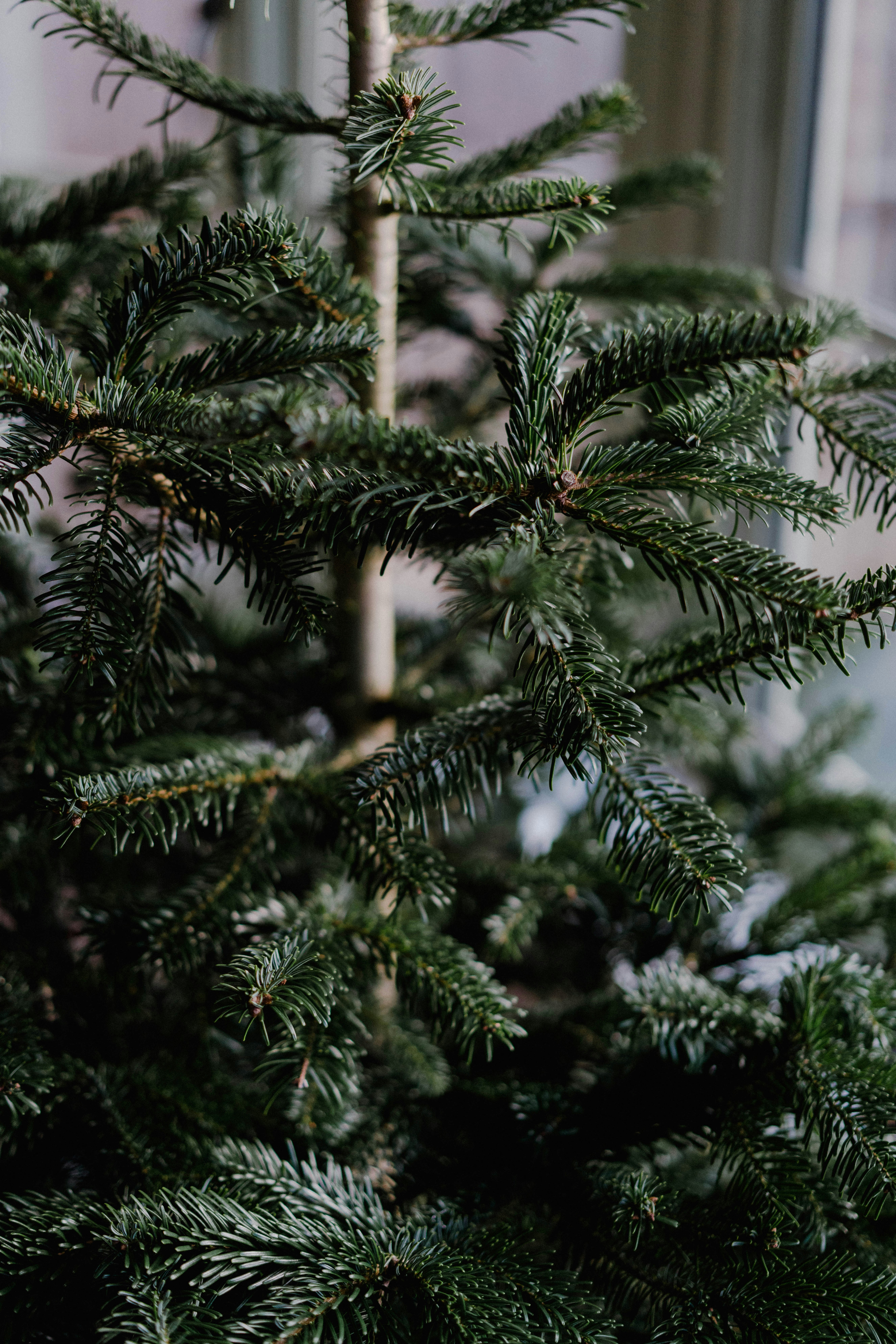 Photo by philhearing