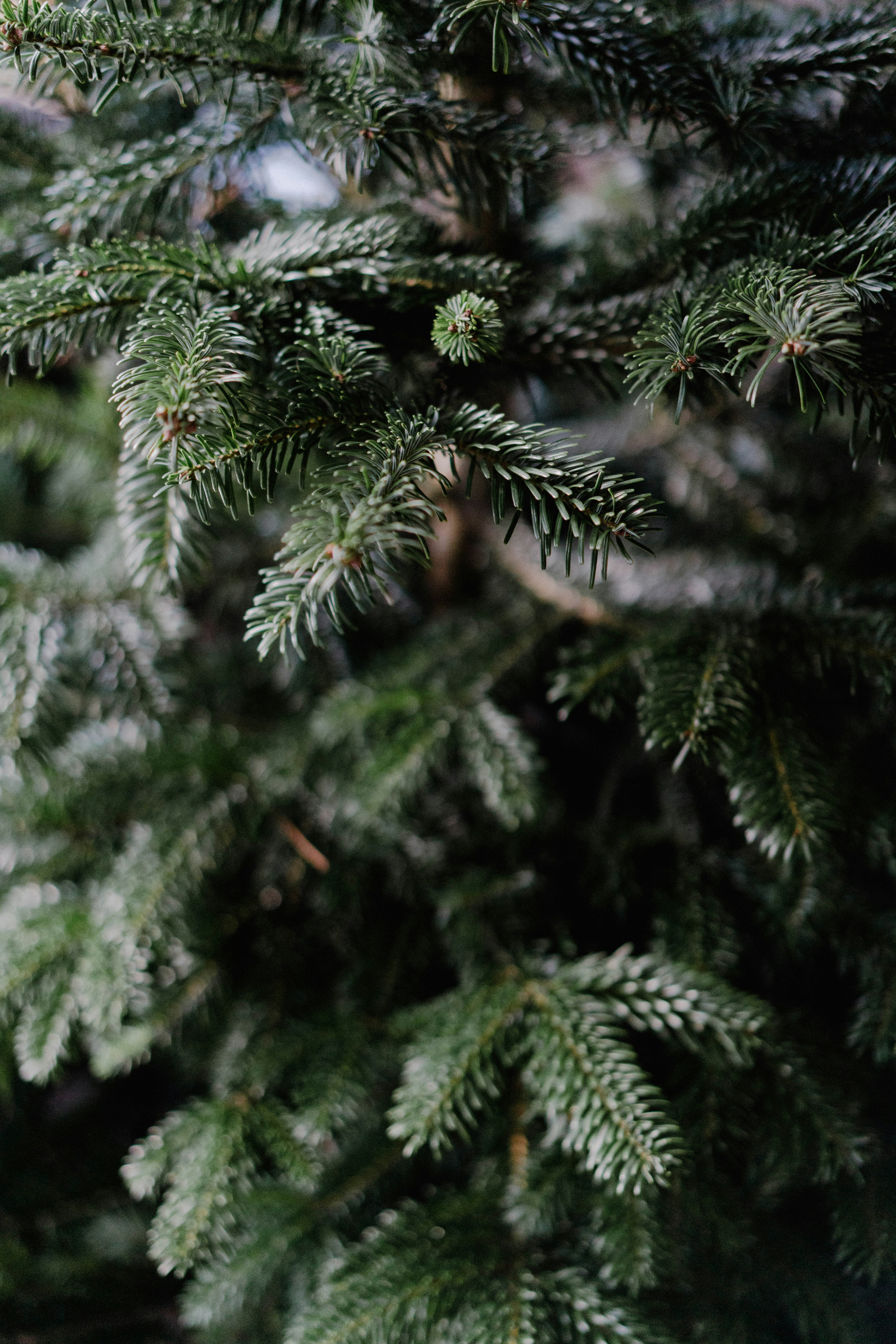 Photo by philhearing