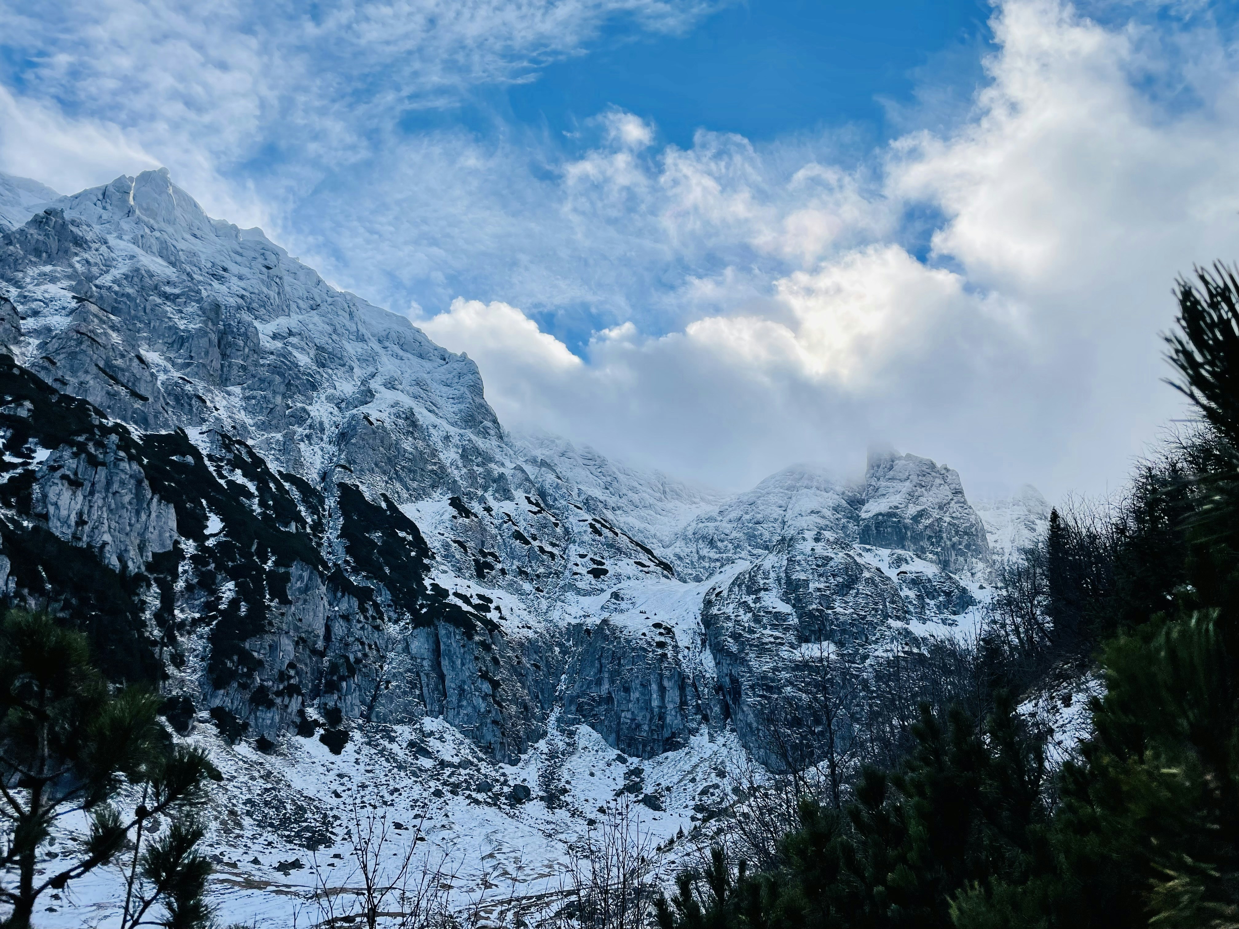 Photo by trandafir93