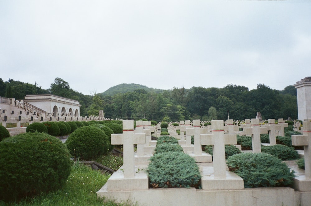 a cemetery with many headstones and trees in the background