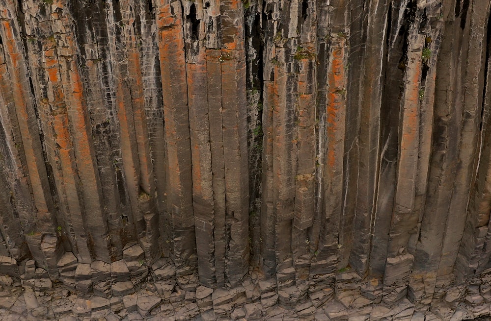 a group of trees that are standing in the dirt