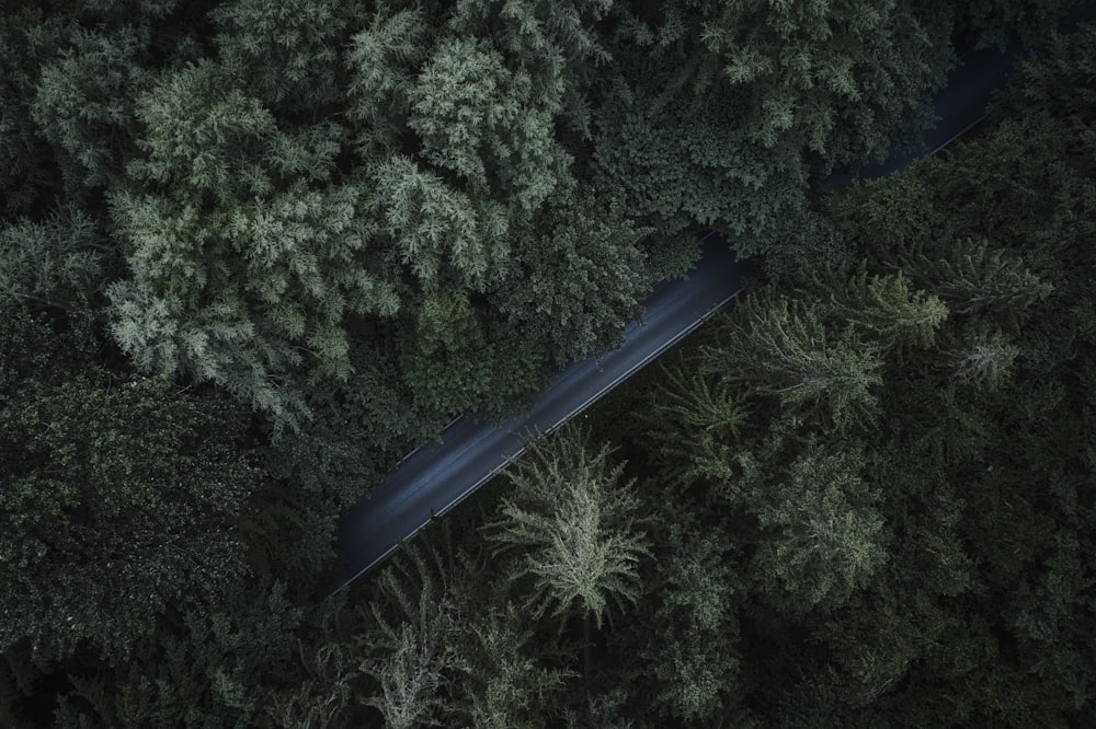 an aerial view of a road in the middle of a forest