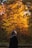 A serene woman enjoying a peaceful moment in nature.