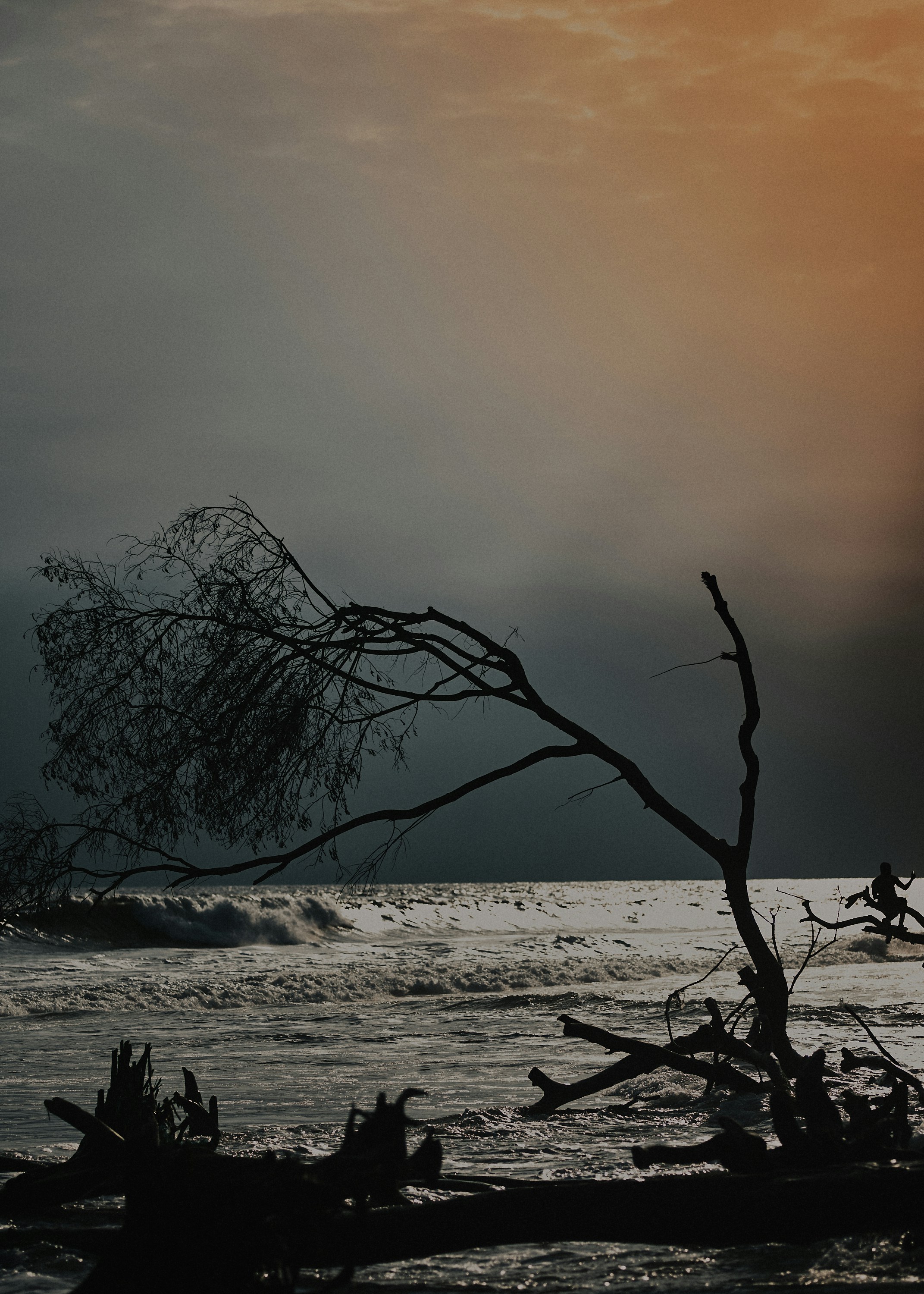 Photo by emmages