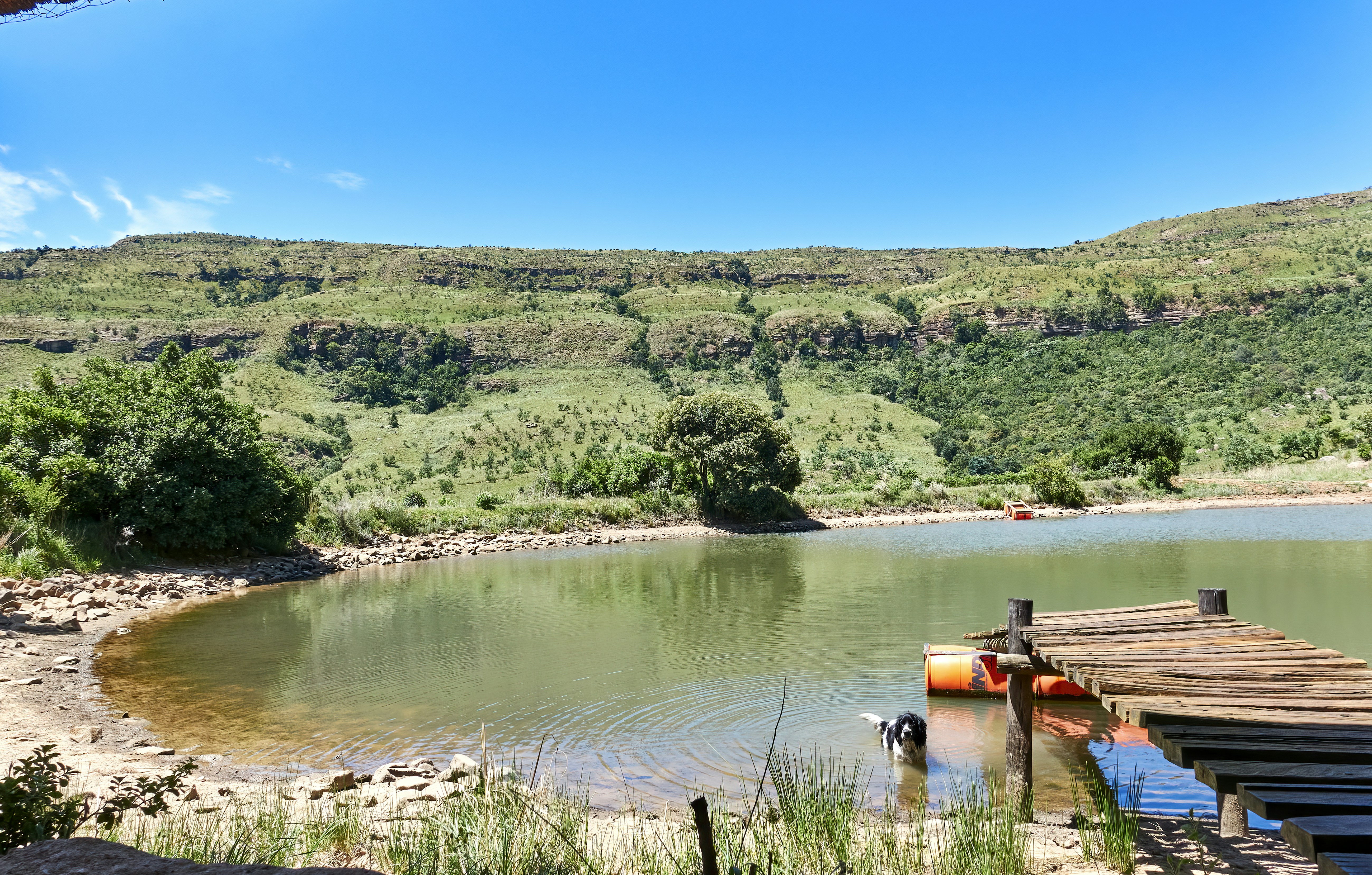 Photo by bullterriere