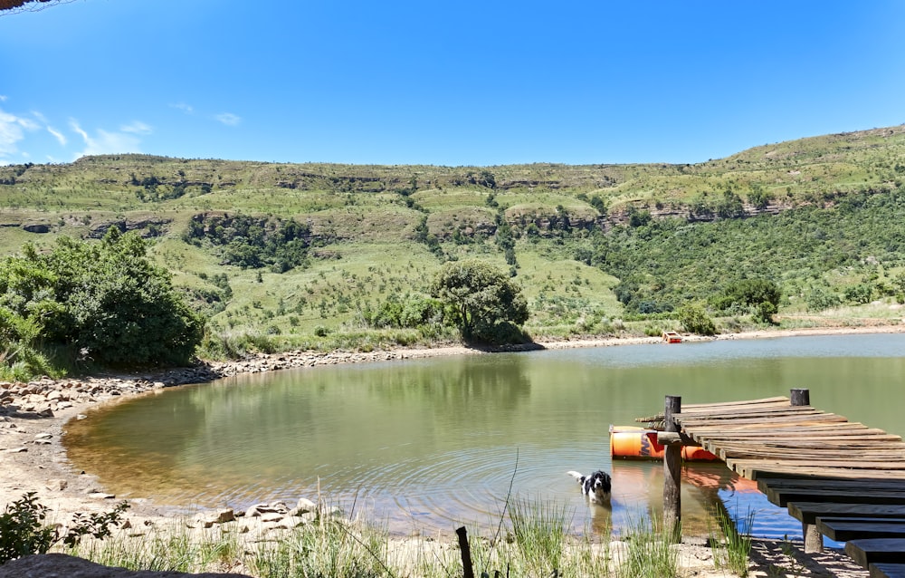 a body of water surrounded by a lush green hillside