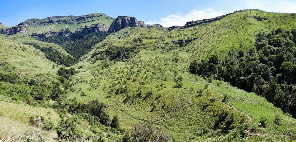 a lush green valley with mountains in the background