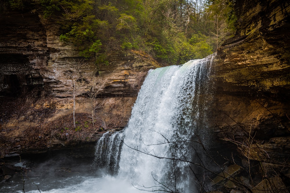 Une cascade au milieu d’une forêt