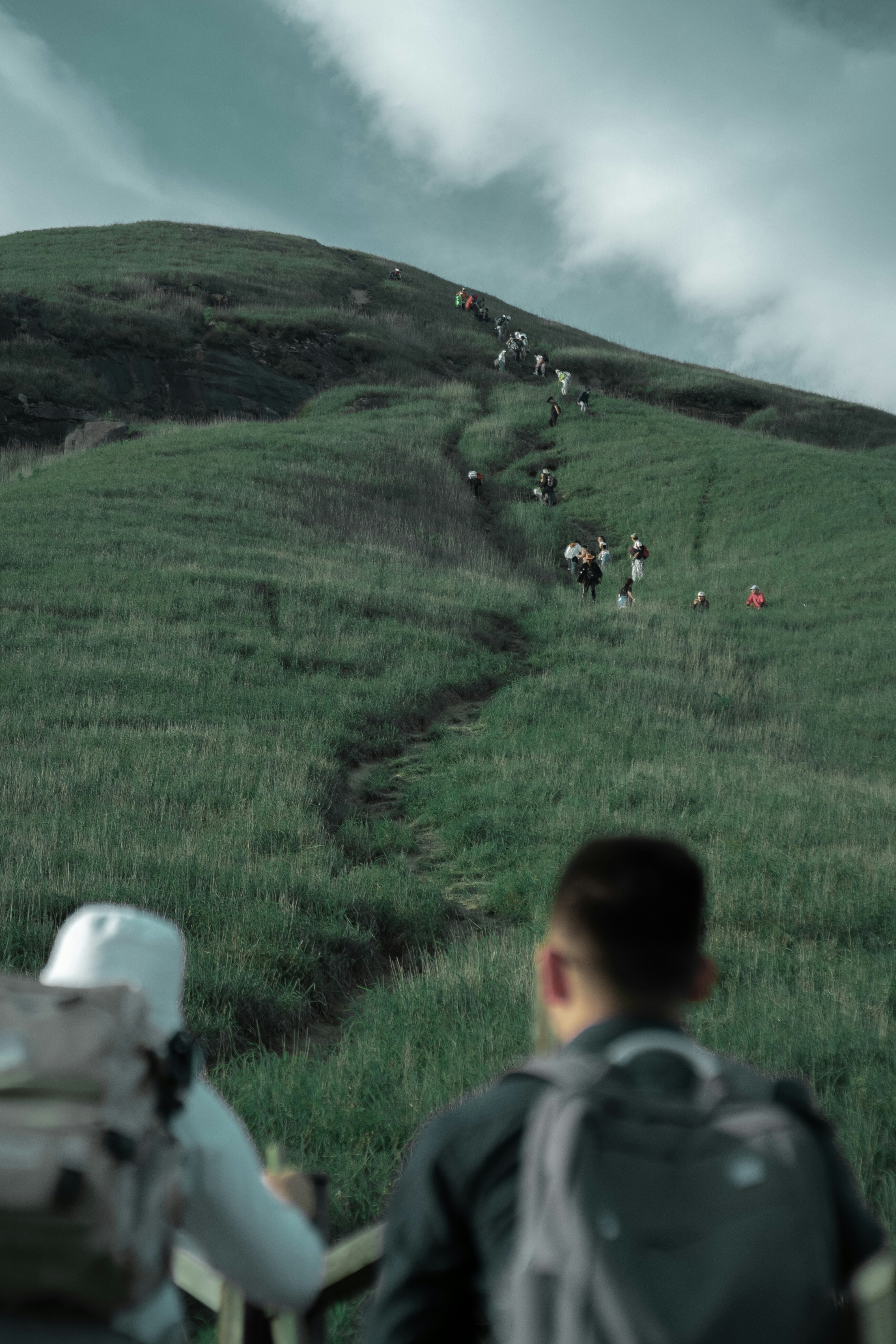 a group of people walking up a grassy hill