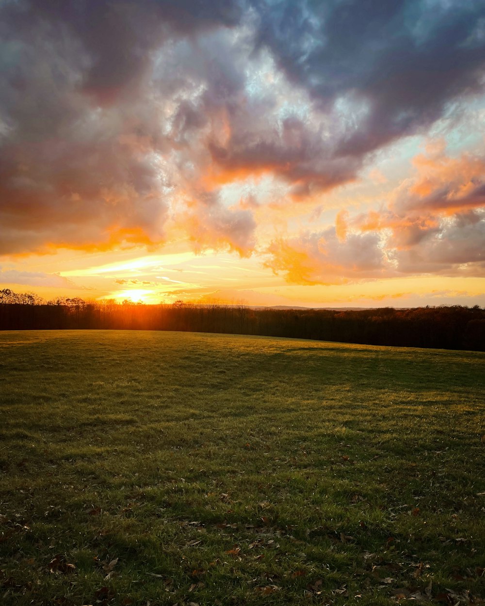 El sol se está poniendo sobre un campo de hierba