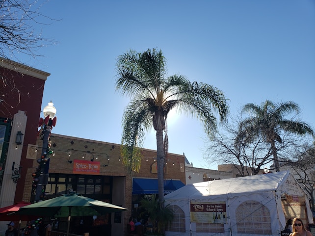 A vibrant outdoor scene featuring tall palm trees against a clear blue sky. Several buildings are visible, including a storefront with a sign labeled 'Spice Topia.' Decorative lights are strung across the area, and people are seen around a large tent with a sign advertising food and drinks. The scene conveys a festive and lively atmosphere.