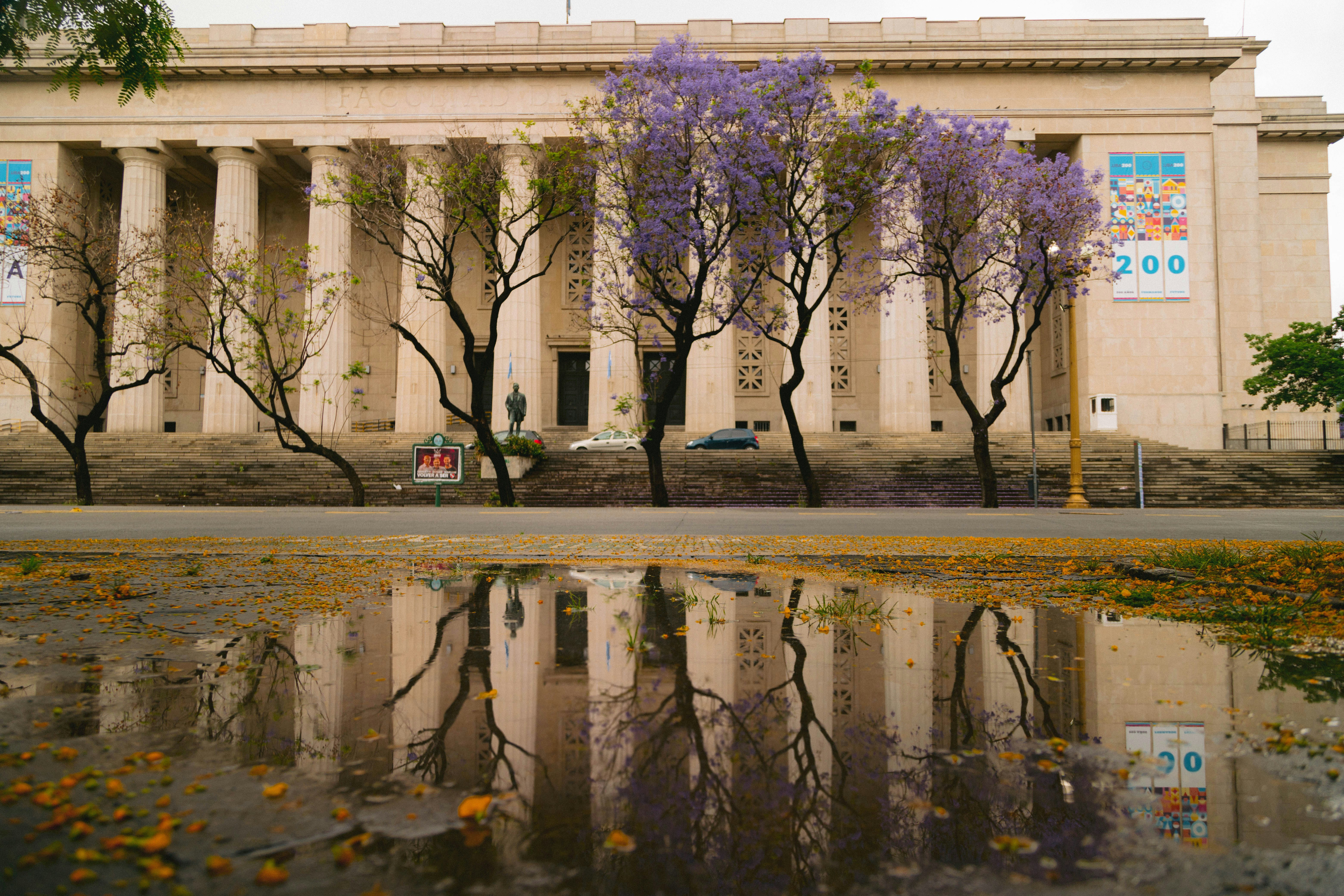 a large building with columns and trees in front of it