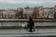 a person riding a bike on a bridge