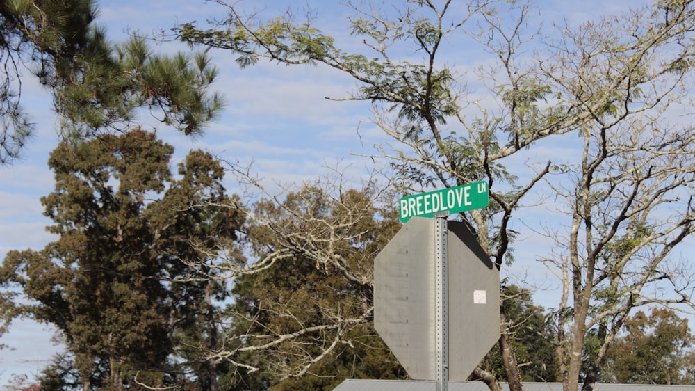 a stop sign with a street sign on top of it