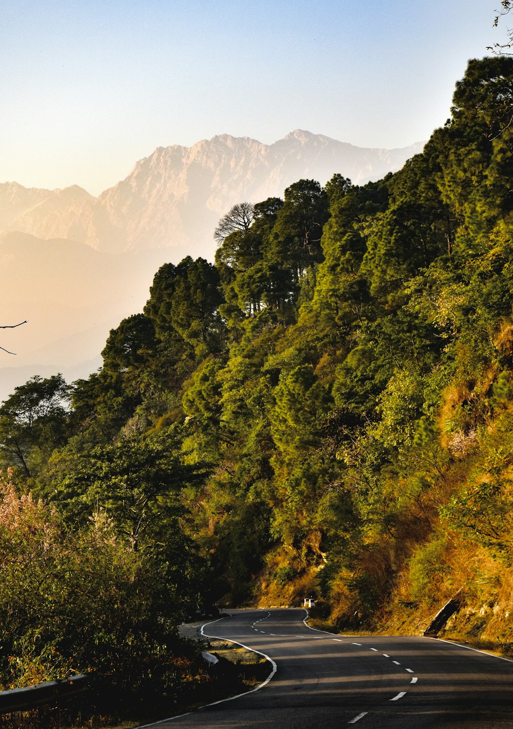 a winding road with trees and mountains in the background