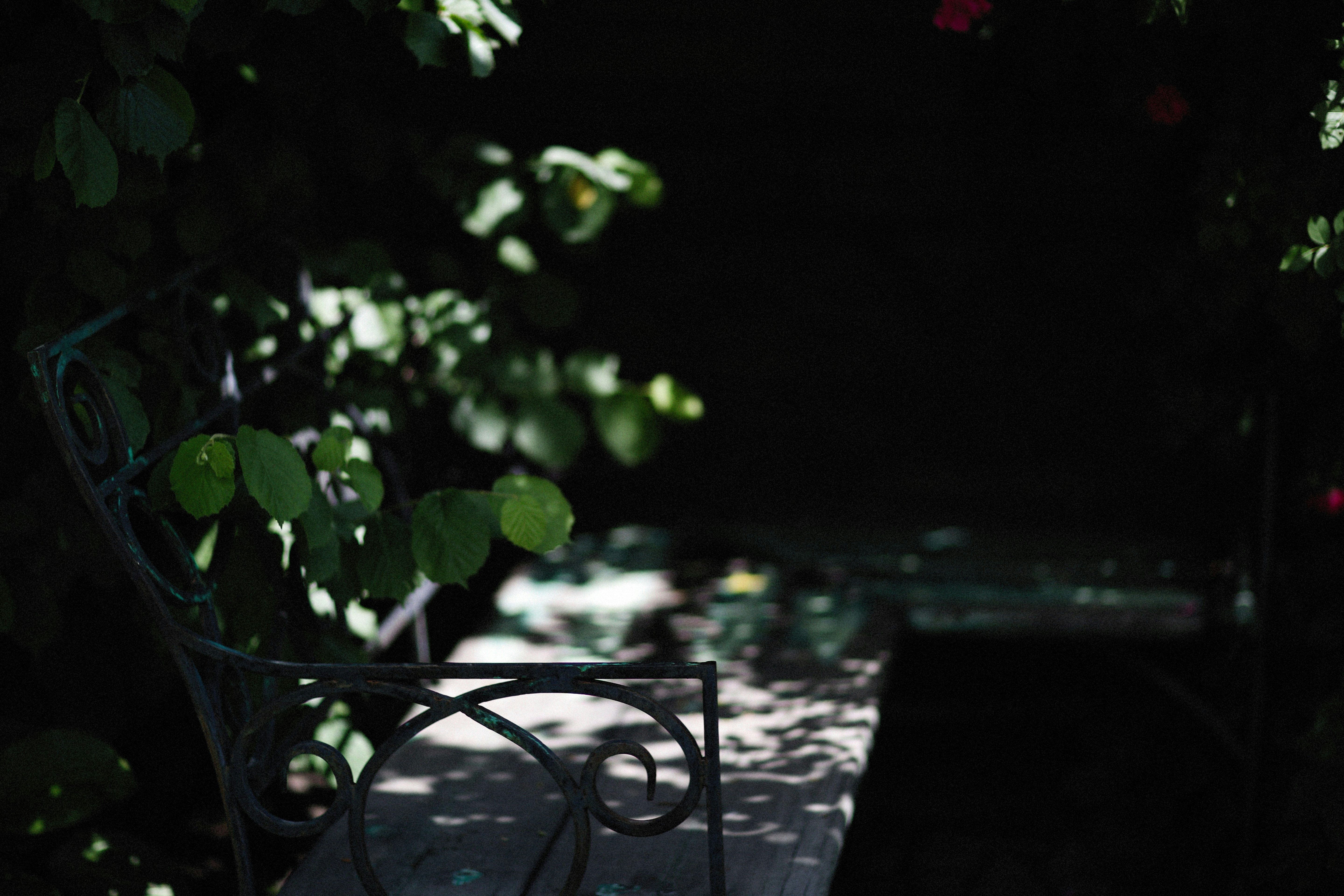 Photo by alexeydemidov