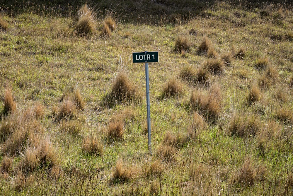 a street sign in the middle of a grassy field