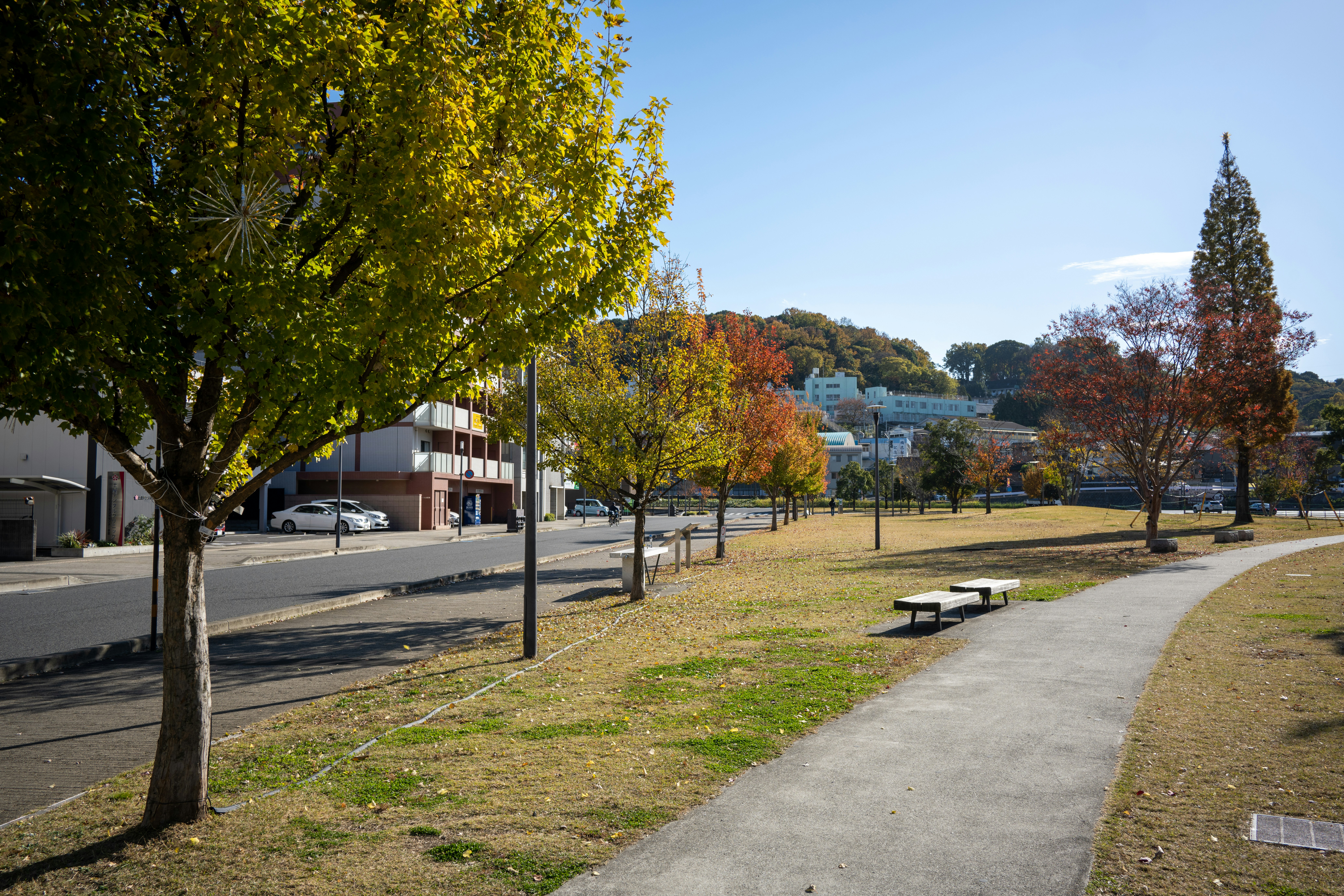 Mound Street Park