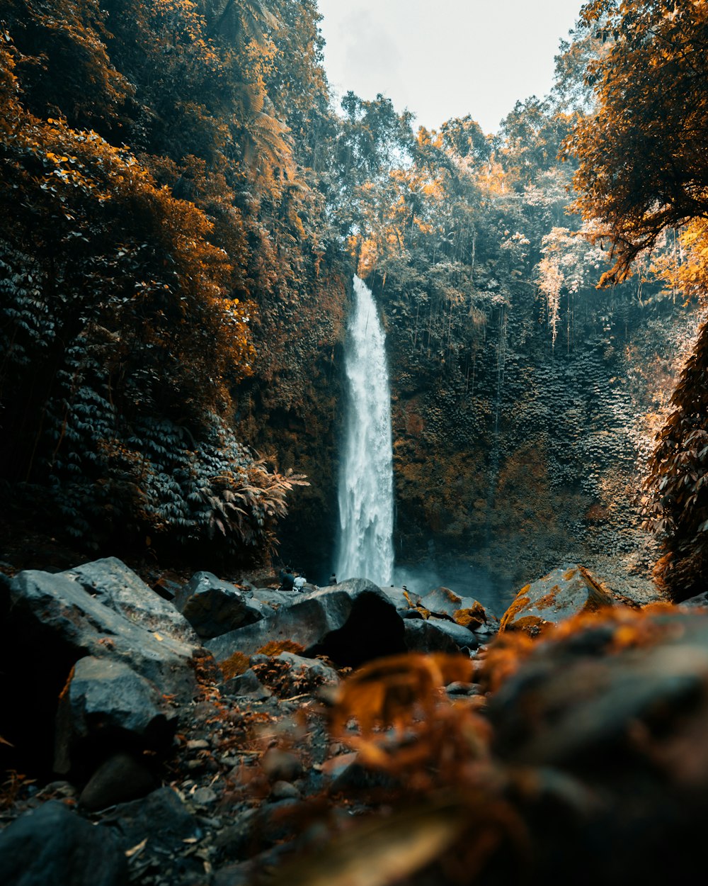 a large waterfall in the middle of a forest