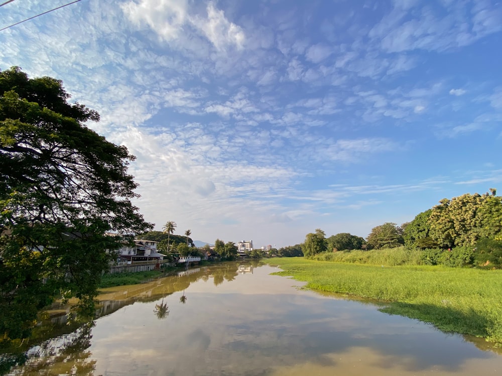 a river running through a lush green forest