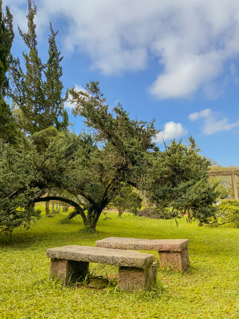 um banco de pedra sentado no meio de um campo verde exuberante