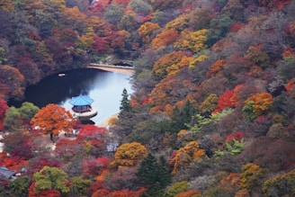 an aerial view of a lake surrounded by trees