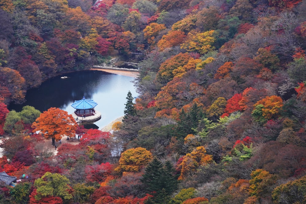 una veduta aerea di un lago circondato da alberi