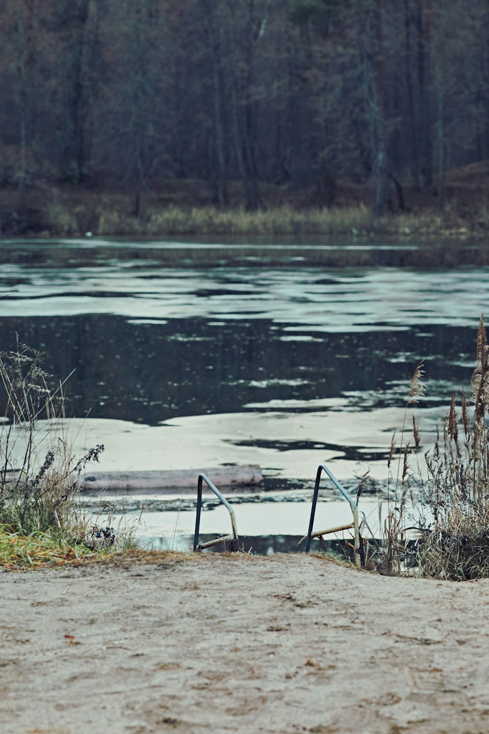 a bird is standing on the edge of a body of water