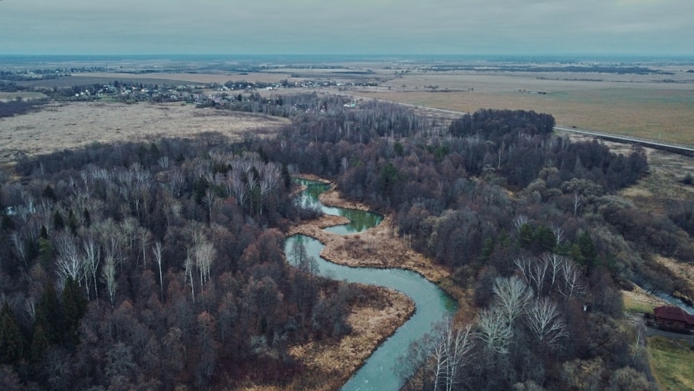 a river running through a lush green forest