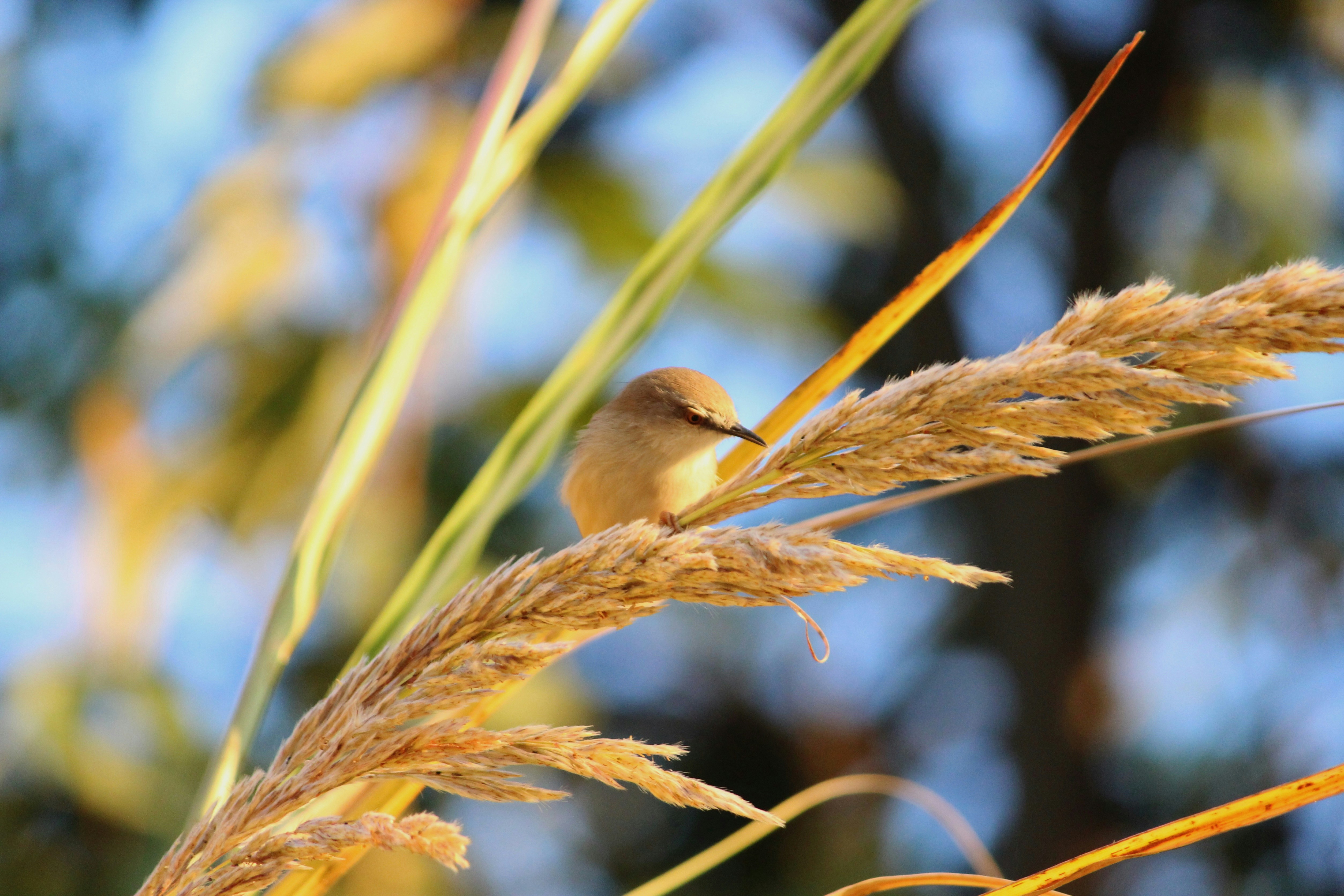 Photo by prateek05