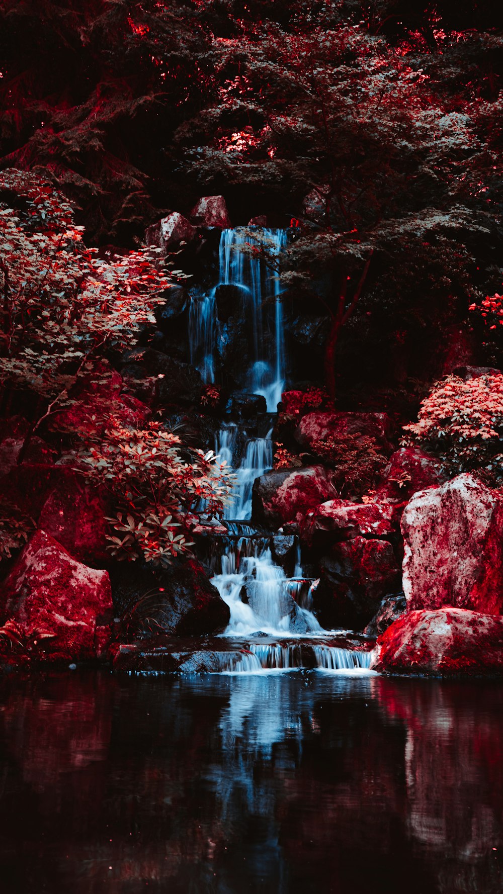 Una pequeña cascada en medio de un bosque