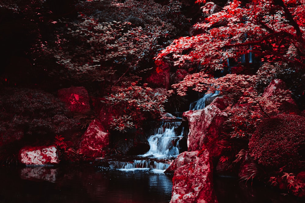 Ein kleiner Wasserfall, umgeben von Bäumen und Felsen